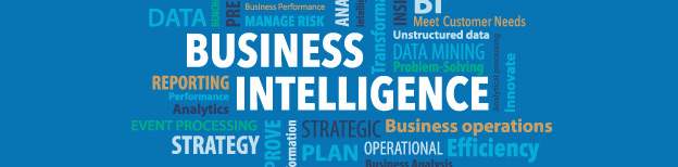 Business Intelligence and Finance